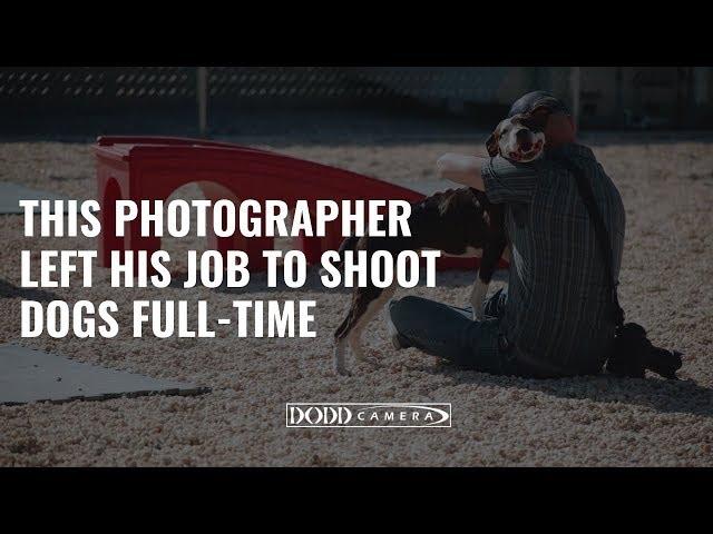 He Left His Job to Photograph Pitbulls