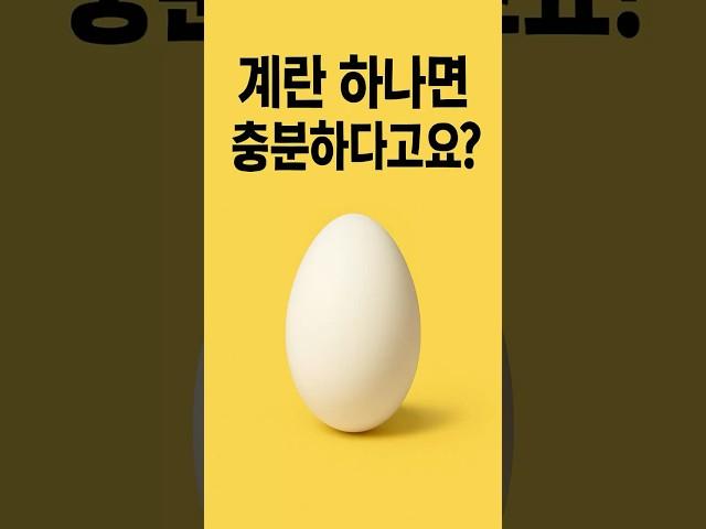 한 끼 단백질, 계란 몇 개면 될까요?