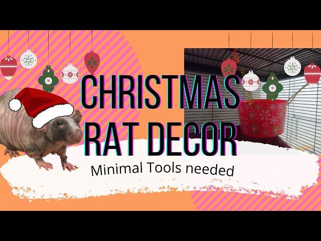 Christmas DIY Decor for Rats (2021)