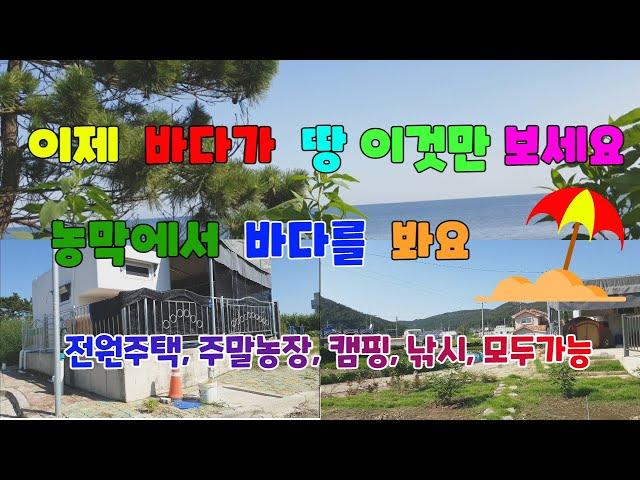 541 구평리 주말농장 매매 농막이 이쁜 구룡포주말농장매매 이제 바다가 땅 이것만 보세요 포항바다가  땅매매 바다보이는 구룡포부동산 도로에 접한포항부동산 시설이 좋은 지목동산