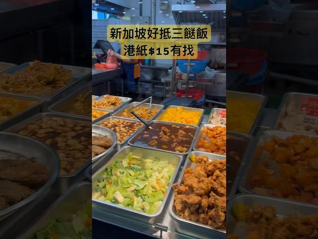 新加坡好抵三餸飯｜港紙$15有找| 唱好新加坡故事￼|This This This Rice #singapore #travel #foodie #asiancity #cheap