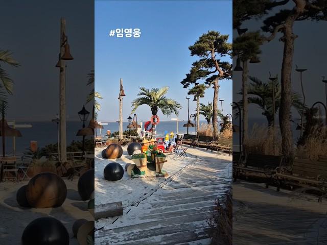 나 진짜 진짜 당신만을 사랑하고 사랑해내 삶의 반쪽 그대만을 #임영웅 #사랑해 진짜 #shorts