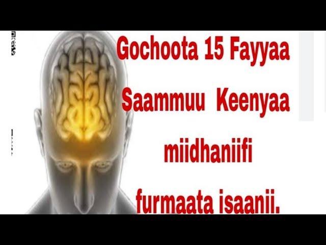 Gochoota (wantoota) 15 Fayyaa Saammuu  Keenyaa miidhaniifi furmaata isaanii.