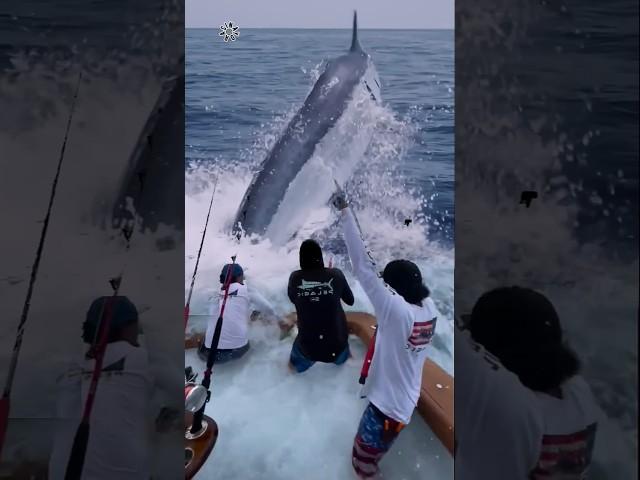 Giant Swordfish Caught by Fishermen! 🪸 #giantcreature #deepseafishing