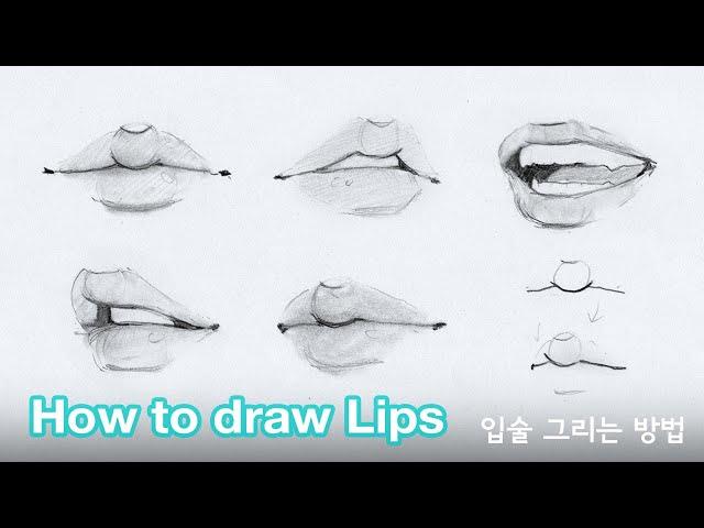 How to draw lips by Chommang (Tutorial)