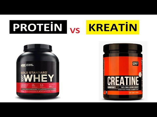 SHOULD I TAKE CREATINE OR PROTEIN POWDER?