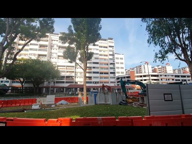 Mahogany trees along Serangoon Ave 2 were axed on 3rd/4th April 2024 to make way for drain widening