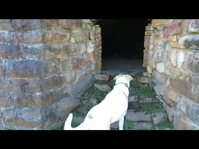 Geocaching at a Coke Oven (GCNW)