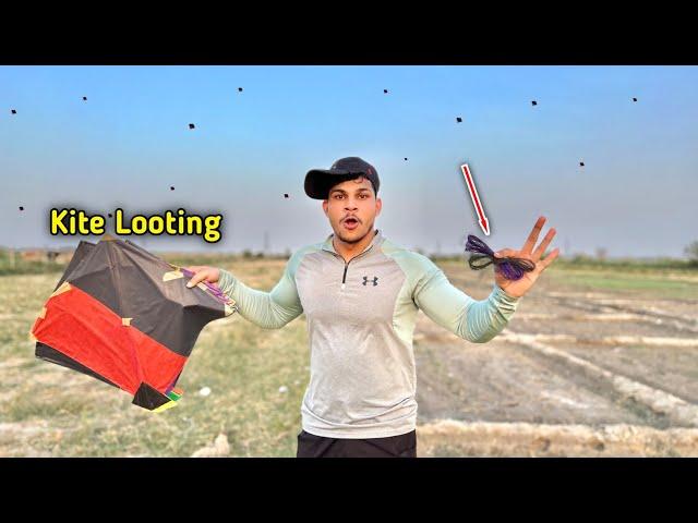 I Am Looted Looted Kites In Ground | Kite Catching | Kites Vlog