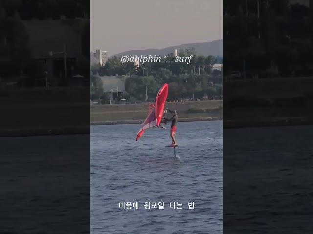 펌핑포일로 윙포일 타는 방법 #pumpfoil #wingfoil #foilsurf #윈드서핑 #윙포일 #starboard #takuma #뚝섬한강공원 #뚝섬유원지 #tanji