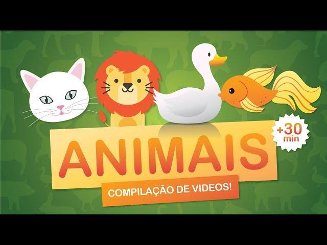 Animais - Compilação de mais de 30 minutos de videos de músicas e atividades com animais!