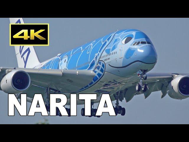 [4K] 99 Big Jets Plane Spotting at Tokyo Narita Airport 2019 / 成田空港 ANA JAL