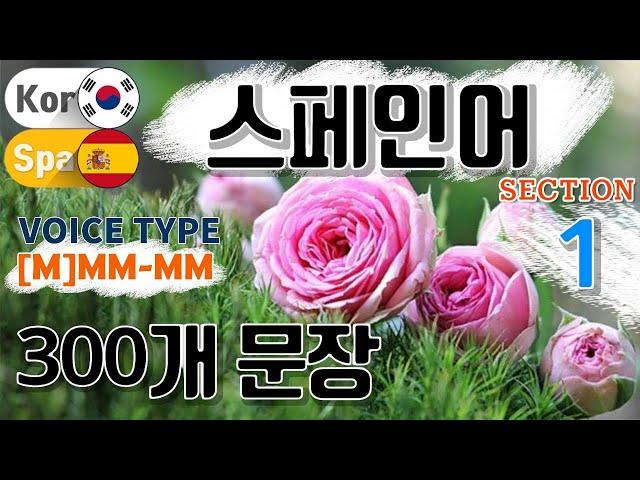 스페인어 / Type [M] M M- M M [Section 1] 생활 회화. / 짧고 쉬운 300문장 연속듣기 / 원어민 남, 여 음성 듣기