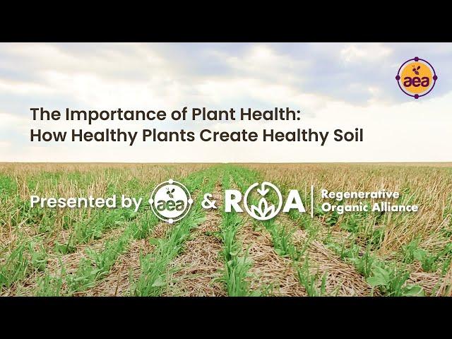 The Importance of Plant Health | How Healthy Plants Create Healthy Soil | AEA and ROA