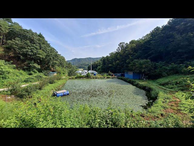 김천시 남면 송곡리 청정지역 산골토지 별장 놀이터 부지매매