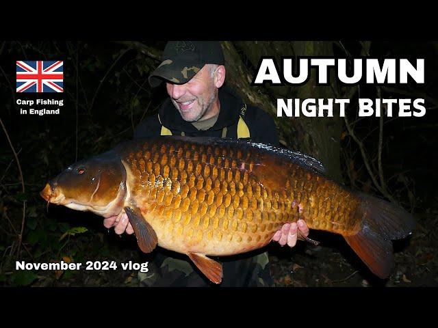 Autumn night bites - CARP FISHING vlog November 2024