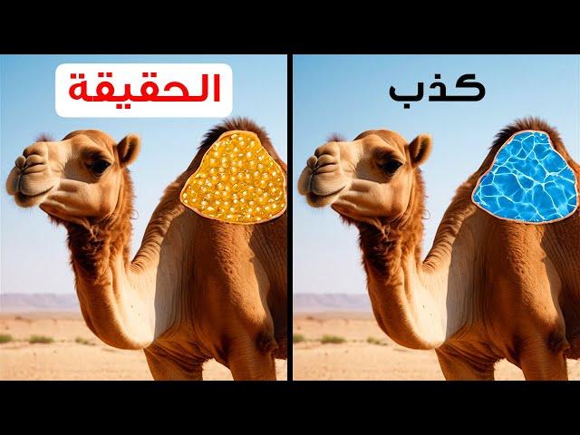 أكثر من 50 حقيقة عن الحيوانات لم يخبرنا بها أحد أثناء دروس علم الأحياء