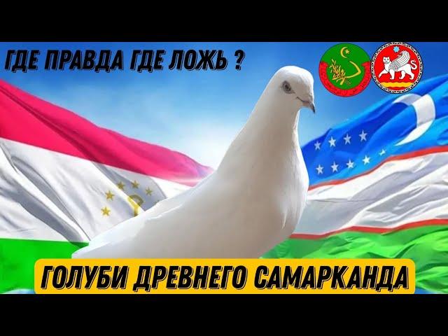 КАК НАЗЫВАЛИ ТАДЖИТСКИХ ГОЛУБЕЙ 60 ЛЕТ НАЗАД В ТАДЖИКИСТАНЕ ?  ЧЕРНОНОСЫЕ БУХАРСКИЕ ГОЛУБИ! ПРАВДА)