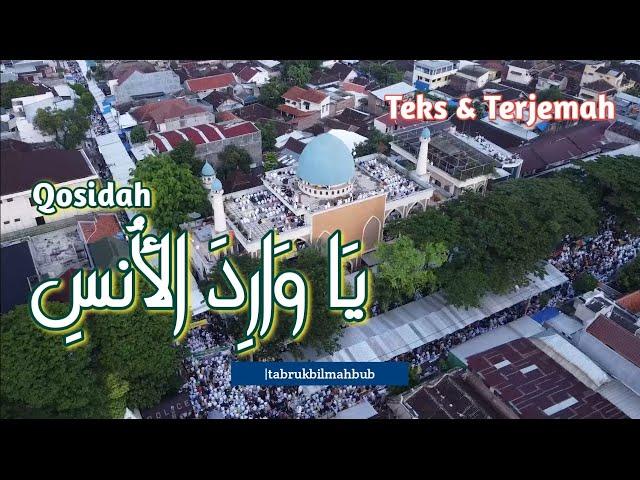 Ya Waridal Unsi - Qosidah Suluk Al Habib Ali Al Habsyi [teks & terjemah]