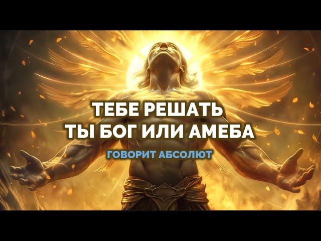 ТЕБЕ РЕШАТЬ ТЫ БОГ ИЛИ АМЕБА. Говорит Абсолют