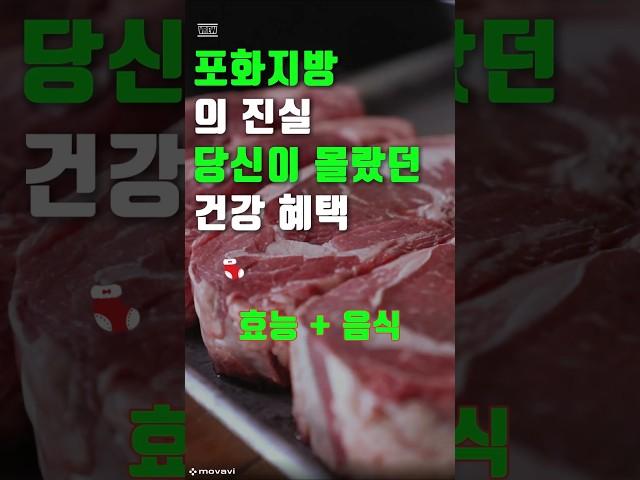 포화지방의 진실, 당신이 몰랐던 건강 혜택 #건강120세까지 #건강120세 #건강
