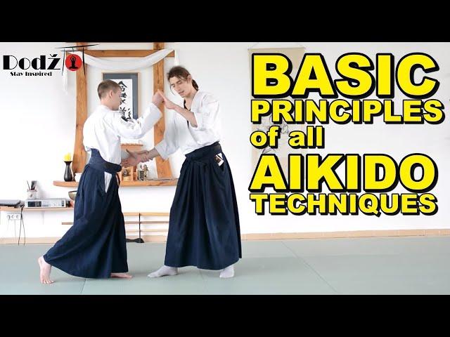 Aikido Principles You MUST Know