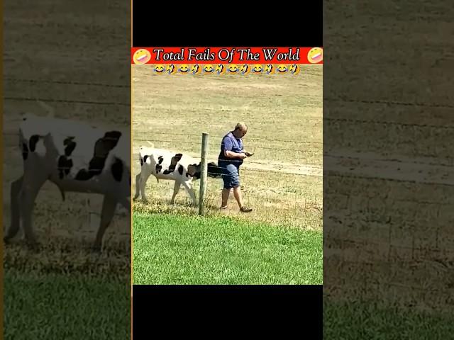 FUNNY VIDEOS COMPILATION | TOTAL IDIOTS AT WORK 2023 | FUNNY MOMENTS