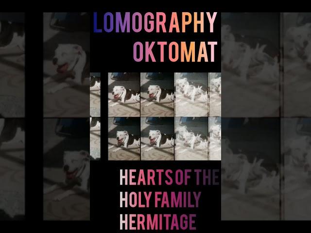 Pictures from Lomography Oktomat Film Camera at the Hearts of the Holy Family Hermitage