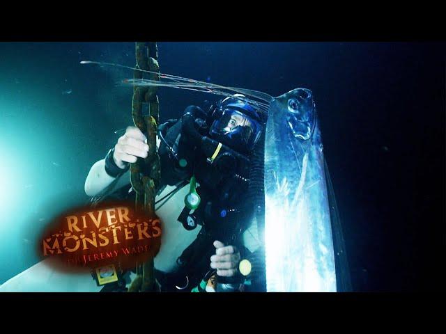 Jeremy Wade's Incredible Encounter with Rare Deep Ocean Fish | River Monsters