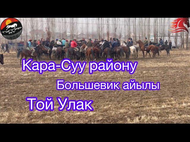 Кара-Суу району Большевик айылы той Улак 