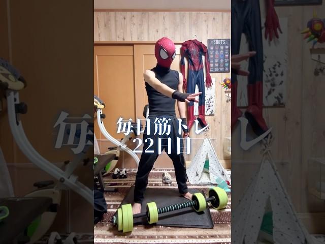 筋トレするスパイダーマン22日目 #スパイディ #spiderman #筋トレ日記  #chinchilla