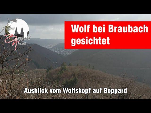 Nachrichten für Boppard