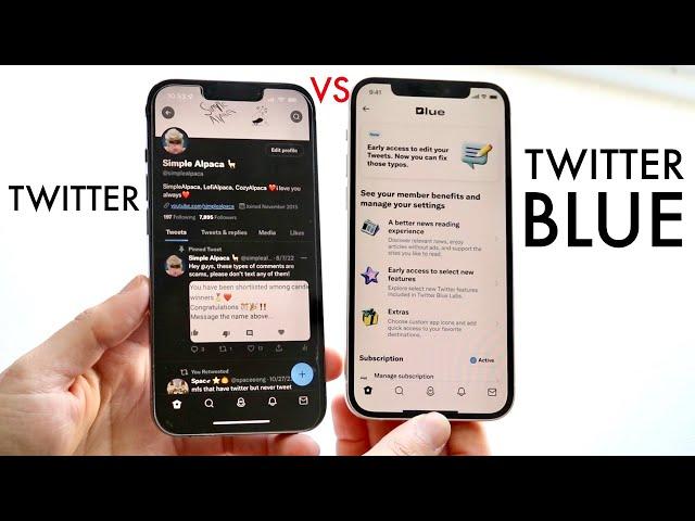 Twitter Vs Twitter Blue! (Should You Upgrade?)