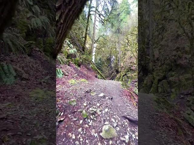 A great spot on #vancouverisland #neverstopexploring #adventure #travelbucketlist #waterfall