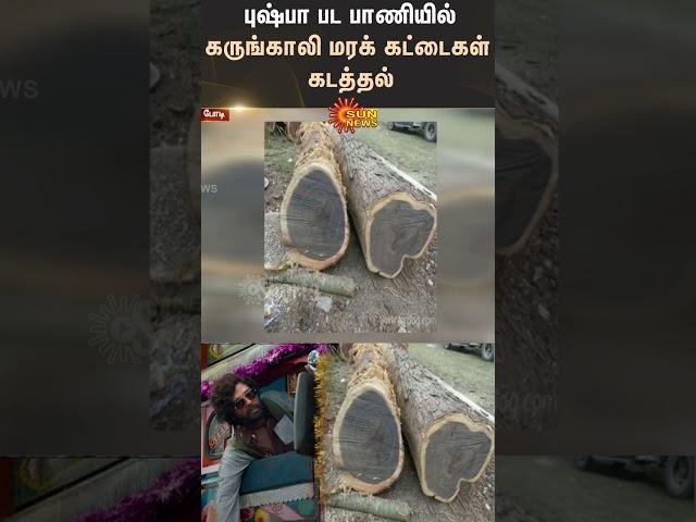 Abduction |Transporting Ebony Logs | Pushpa Movie Style | TN Police | Forest | Sun News