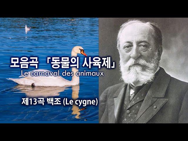 생상스(Saint-Saëns) - 제13곡 백조 (모음곡 「동물의 사육제」 중에서) / 13. Le cygne from "Le carnaval des animaux"