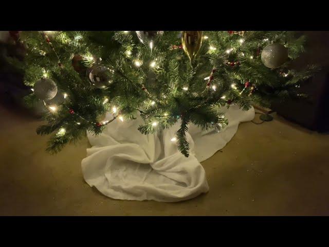 WHAT THE CAT DID TO MY CHRISTMAS TREE - 2025