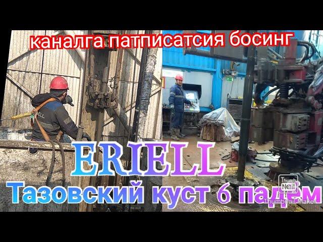ERIELL Тазовский