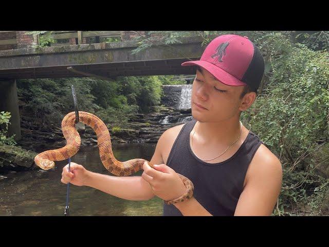 GSU student called ‘snake collector’ removes snakes for free in yards, homes