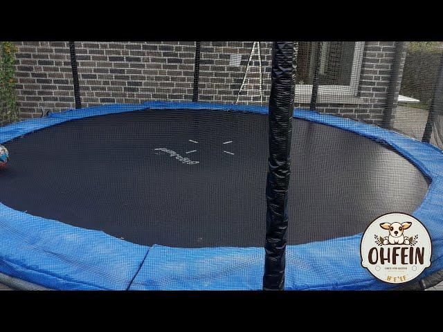 7 wichtige Tipps für den erfolgreichen Trampolin-Kauf! - Das perfekte Trampolin finden