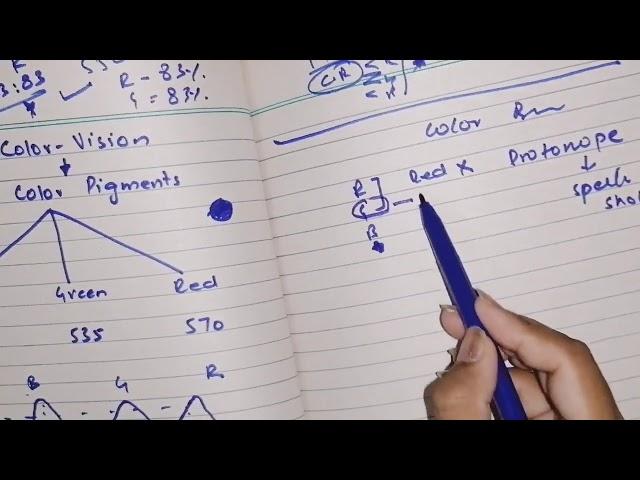 Color vision, Color blindness, guyton 51 part 6, neural function of retina #specialsensoryphysiology