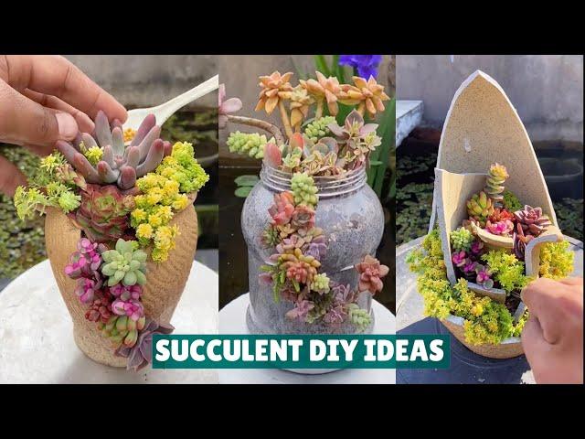 Succulent DIY Ideas from Recycling - Succulent Garden #肉植物 #다육이들 #Suculentas