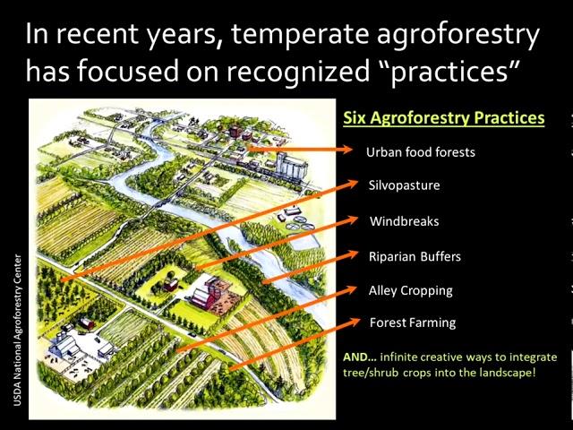 Introduction to Agroforestry