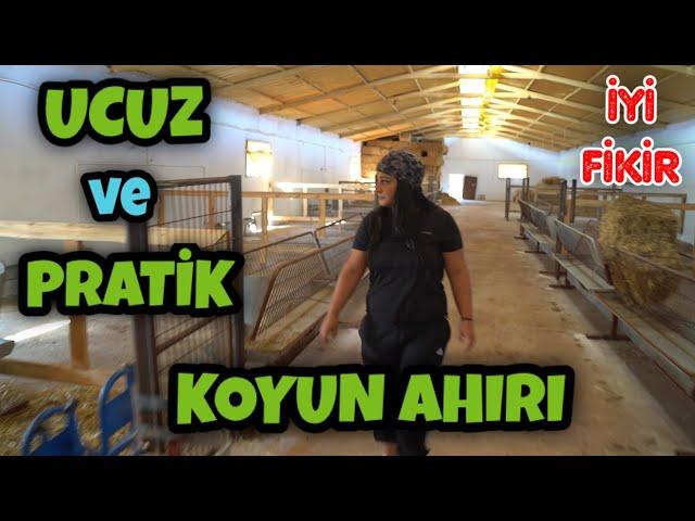 KOYUN AHIRI YAPACAKLARA UCUZ VE PRATİK BİLGİLER (Küçükbaş Hayvancılık)