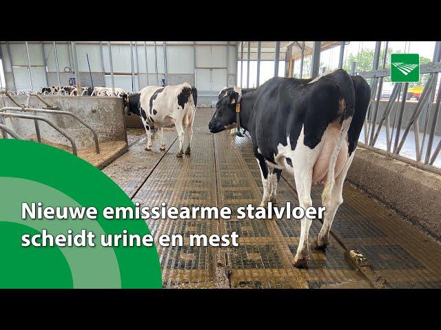 Nieuwe emissiearme stalvloer scheidt urine en mest