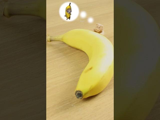 I made a Banana cat by clay!!clay stopmotion #bananacat