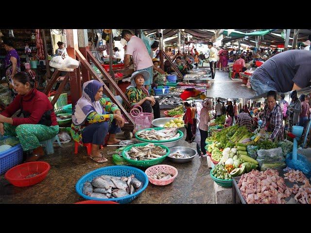 Cambodian Early Morning Vegetable Market - Daily Lifestyle & Activities Of Vendors Selling Food