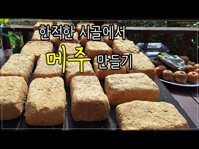 시골집에서 메주 만들기 / 시골생활 일상 브이로그 / 시골집에서 직접 키운콩으로 메주 만들어 먹는 즐거움 ASMR