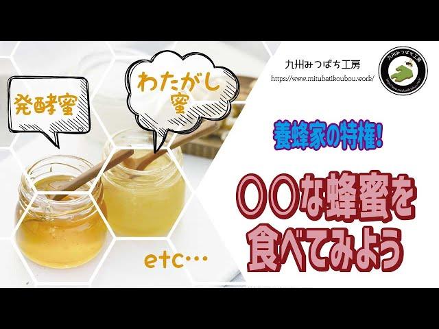 養蜂家の特権！【○○な蜂蜜を食べてみよう】日本みつばちの養蜂 How to Beekeeping