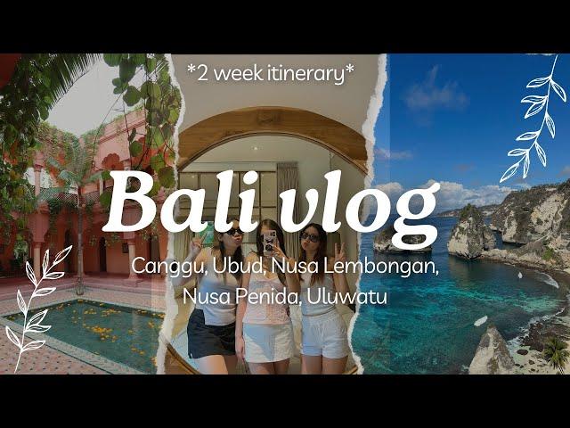 BALI VLOG 2024 | Canggu, Ubud, Seminyak, Nusa Lembongan & Penida, Uluwatu *2 week itinerary*